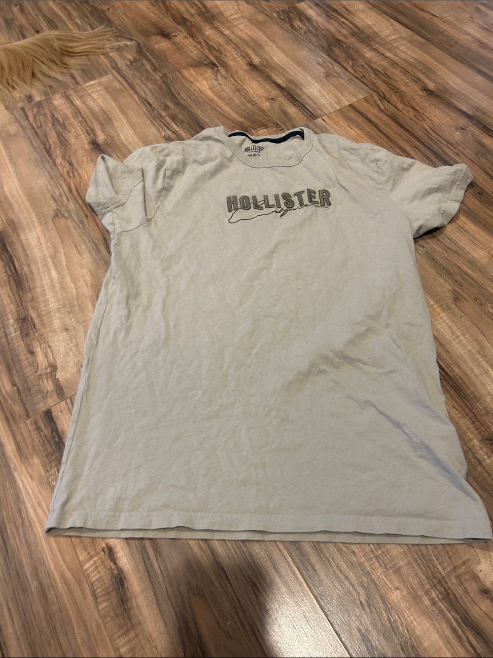 Hollister Crew Neck Logo Tee in Pale Gray